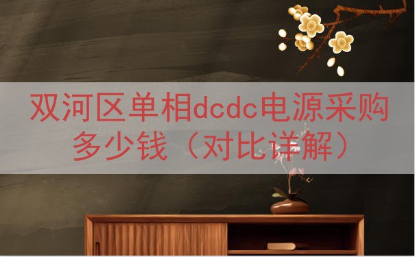 双河区单相dcdc电源采购多少钱（对比详解）